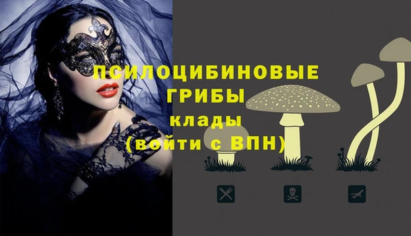 мдпв Вязники