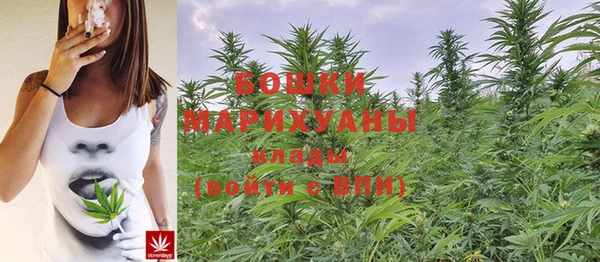 МДПВ Вязьма