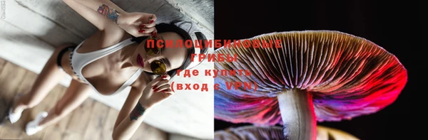 jwh Вяземский