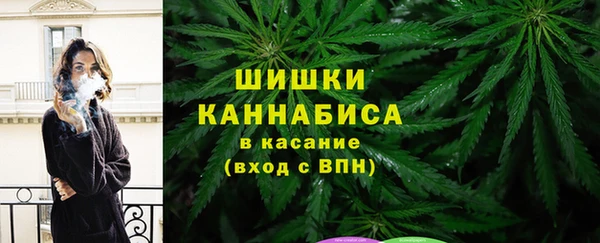 МДПВ Вязьма