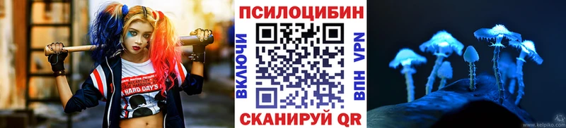 Галлюциногенные грибы Psilocybe  Смоленск 